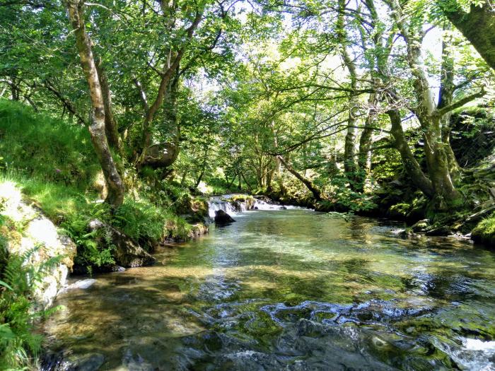 Tanrallt, Powys