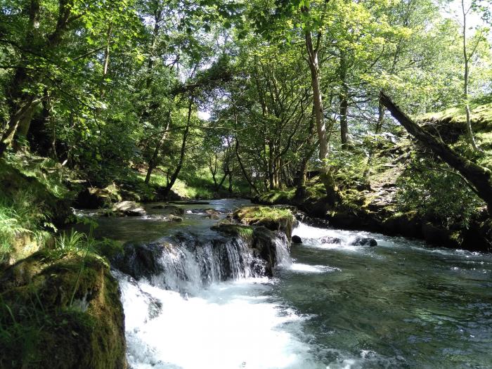 Tanrallt, Powys