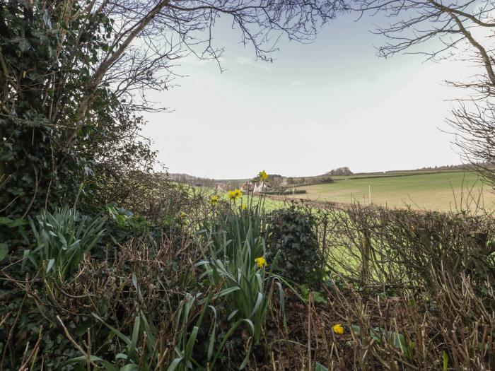 The Mouse House, Dorset