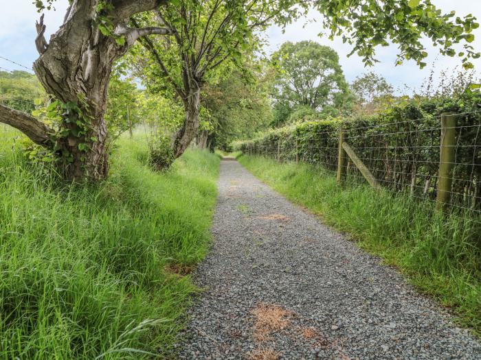 Dingle Den,  Herefordshire