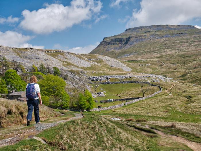 Waterfall Cottage, Ingleton