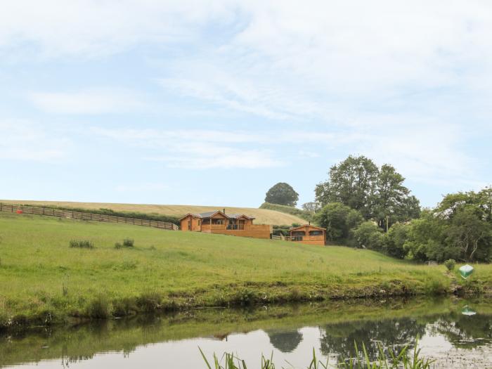 Manor Farm Lodges - Red Kite Lodge, Newtown