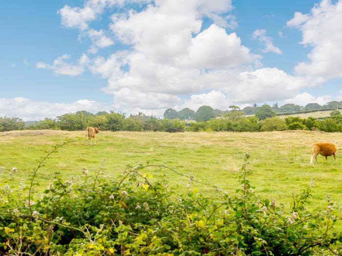 3 Black Horse Cottages, Pentraeth