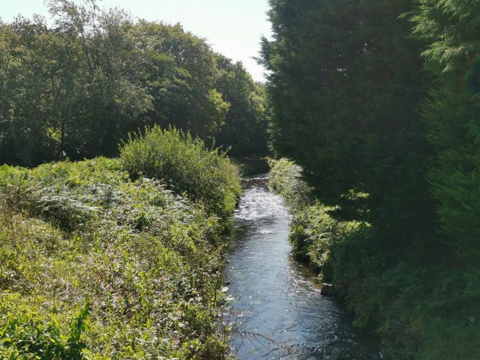 Boswynn, Cornwall