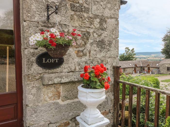 The Loft, Ireland