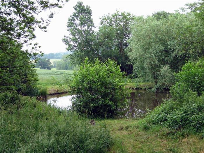 ELEPHANT COTTAGE, Bromyard