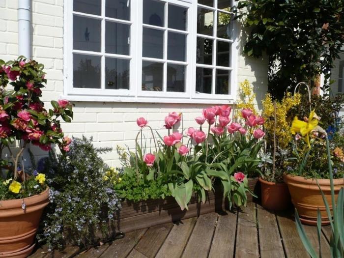 THE MEWS COTTAGE, Tisbury, Wiltshire Cottages