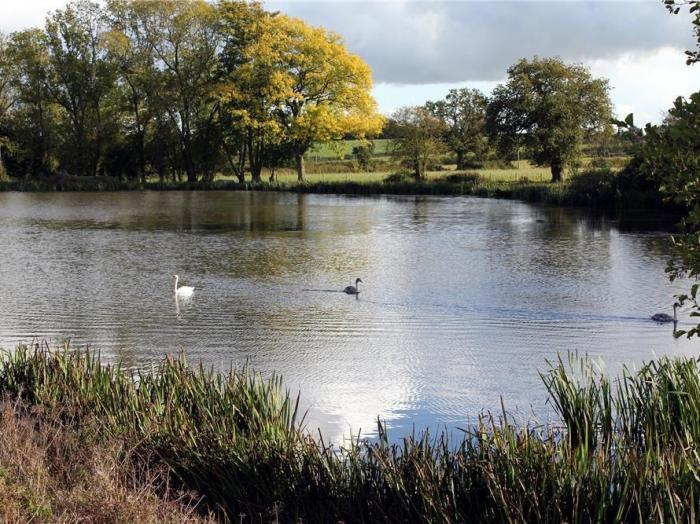 THE OLD DAIRY, Flaxley