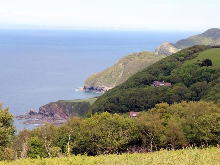 Treetops, Devon