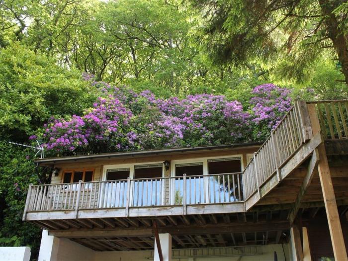 Treetops, Devon