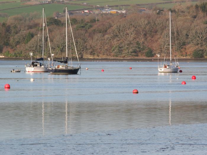 The Daffodil Shed, Devon