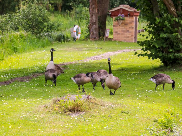 4 Lake View, Norfolk