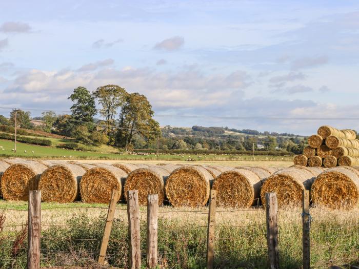 Bonjedward Mill Farm Cottage, Scottish Borders