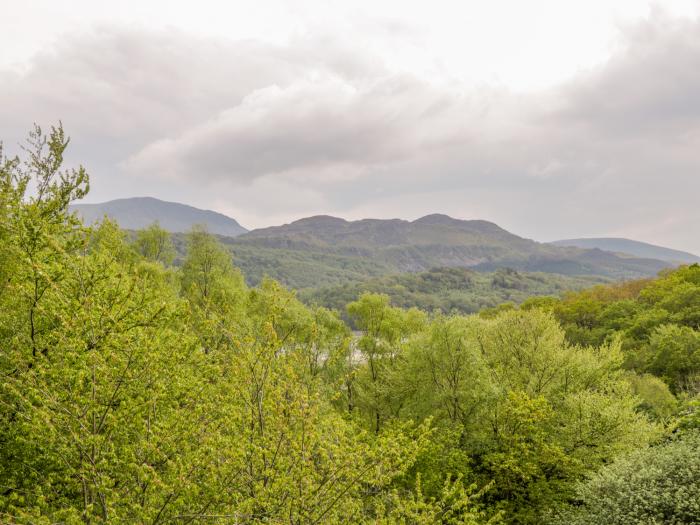 Bryn Goleu, Dolgellau