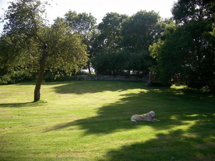 Coombe Orchard, Dorset