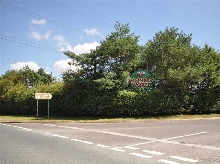 Coombe Orchard, Dorset