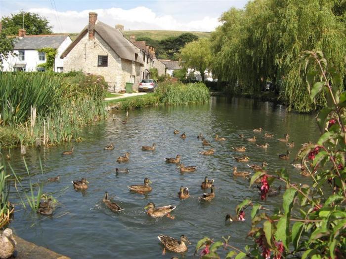 The Courthouse, Dorset