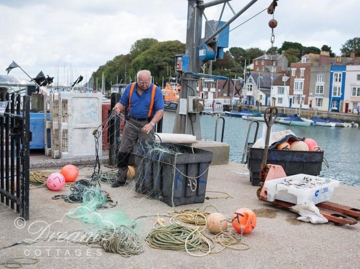 Harbour Edge, Dorset