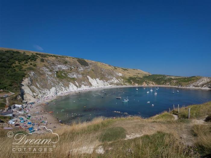 Jurassic View, West bay