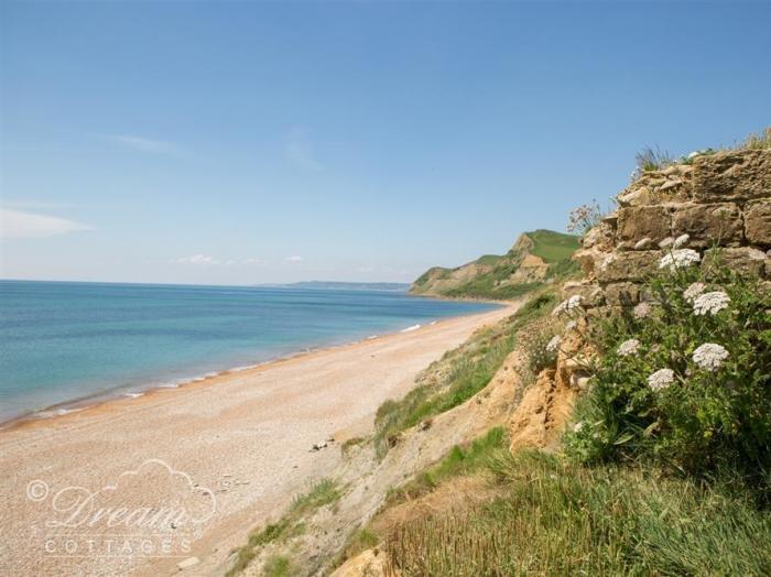 Jurassic View, West bay