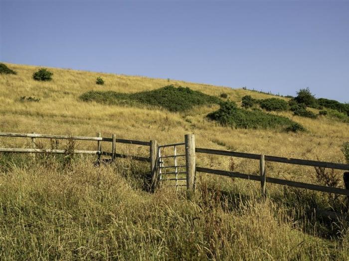 Leys At Valley View Farm, Dorset