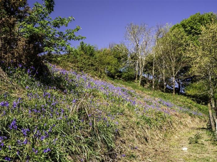 Leys At Valley View Farm, Dorset