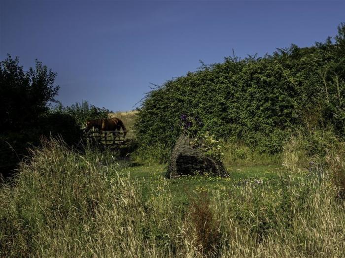 Leys At Valley View Farm, Dorset