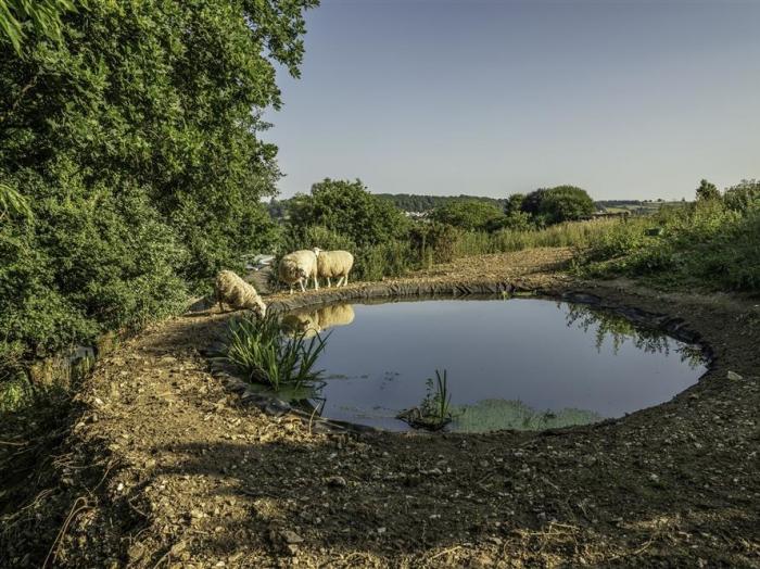 Leys At Valley View Farm, Dorset