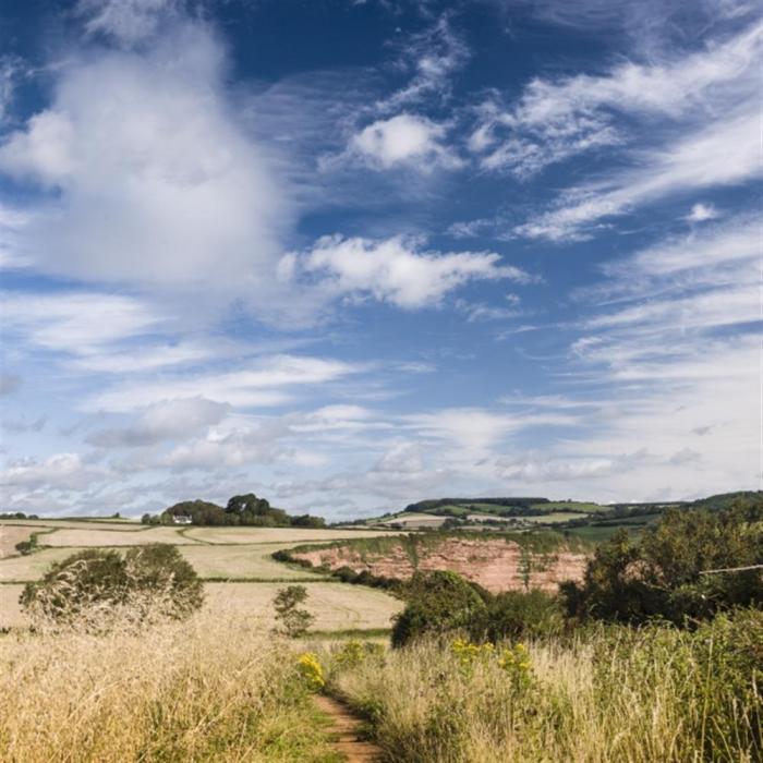 Leys At Valley View Farm, Dorset