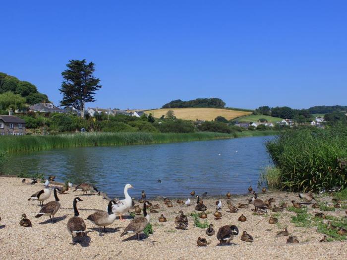 Estuary View, Devon