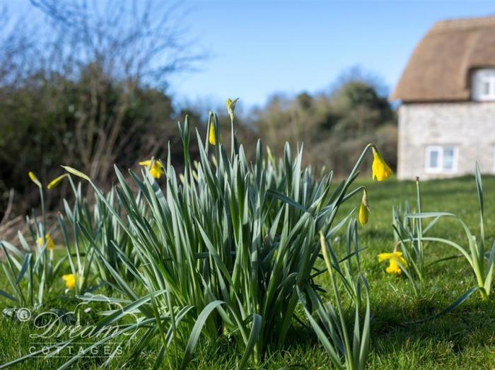 Pitt Cottage, Ringstead