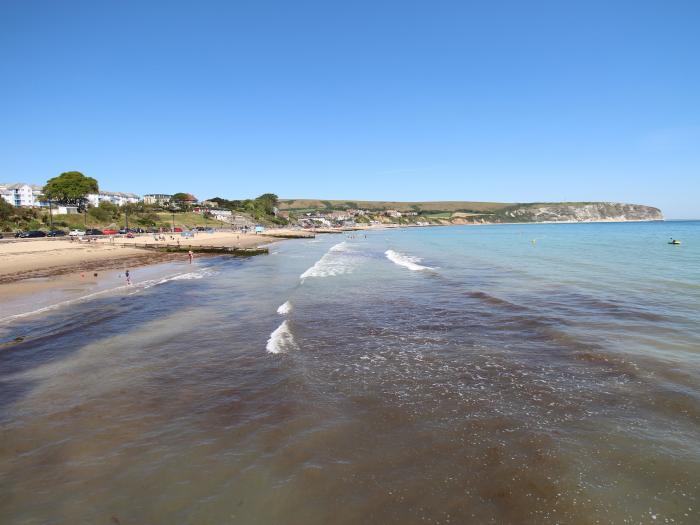 Swanage Driftwood, Dorset