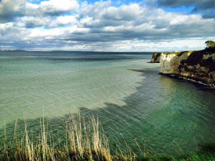 Tavern Way, Dorset