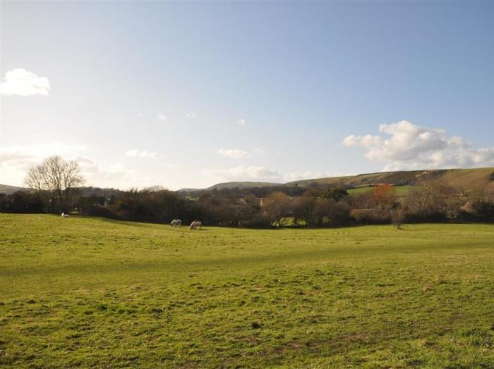 Tavern Way, Dorset