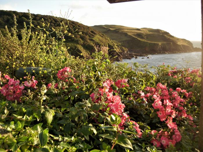 Cottage View, Devon