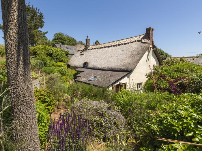 Higher Collaton Cottage, Devon