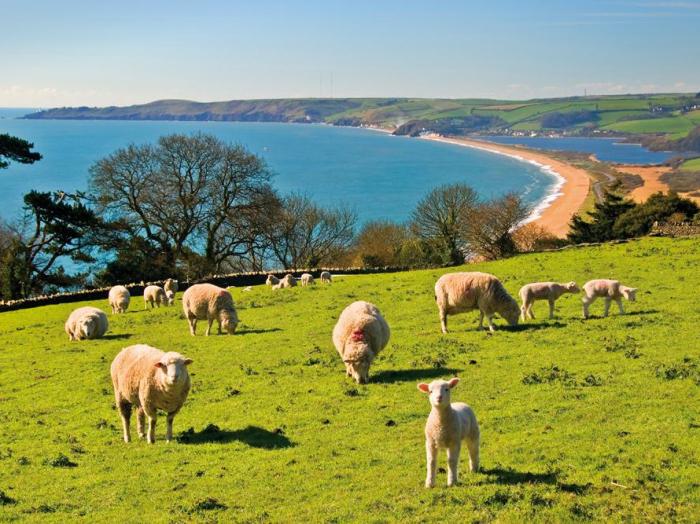 Moonrakers, Devon