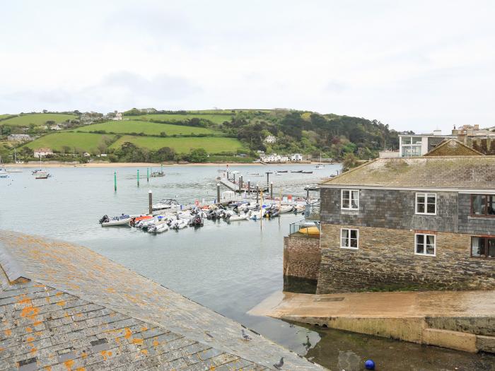 Seagulls, Devon