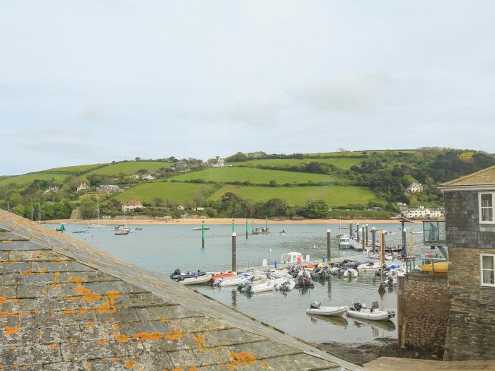 Seagulls, Devon