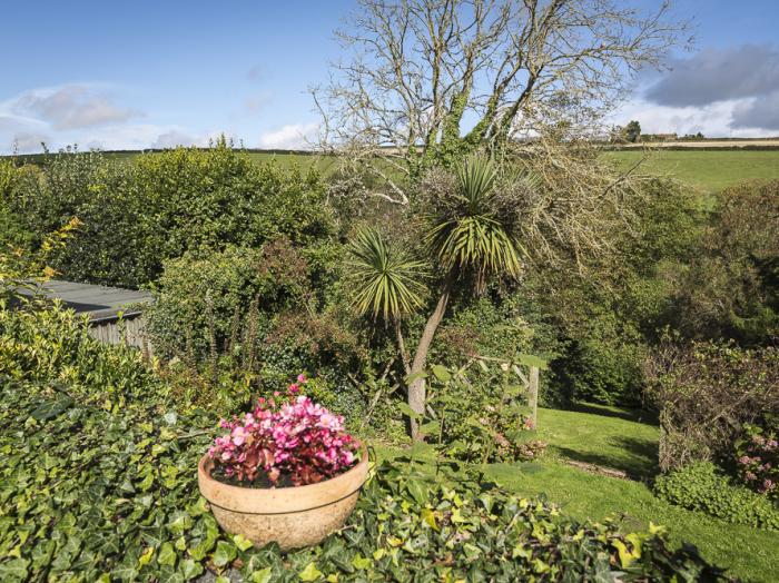 Summer Cottage, Devon