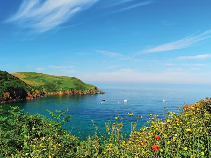 Cove View, Devon