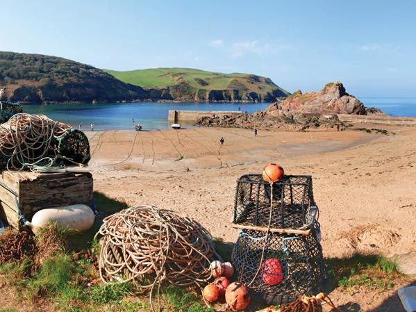 Cove View, Devon