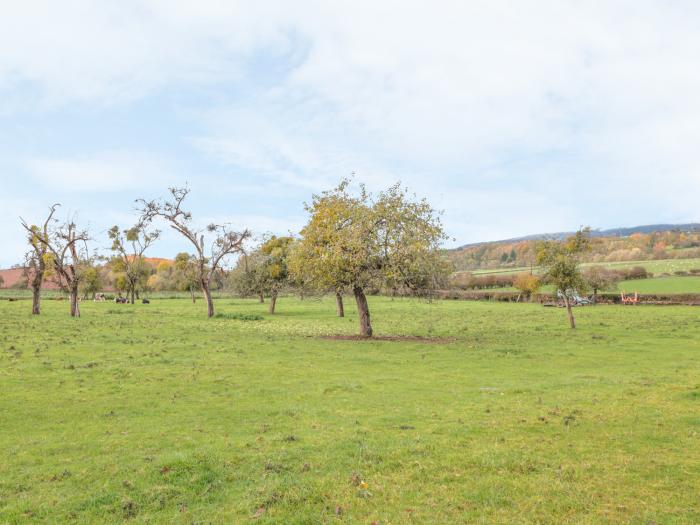 Orchard Cottage, Worcestershire