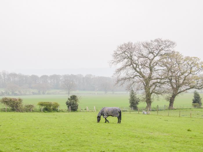 Orchard Cottage, Shropshire