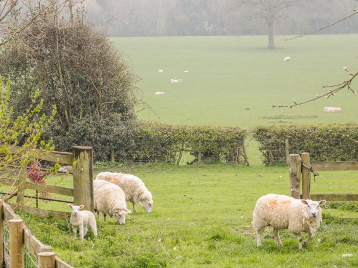 Orchard Cottage, Shropshire