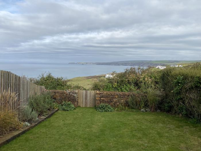 Oyster Bay, Port Isaac