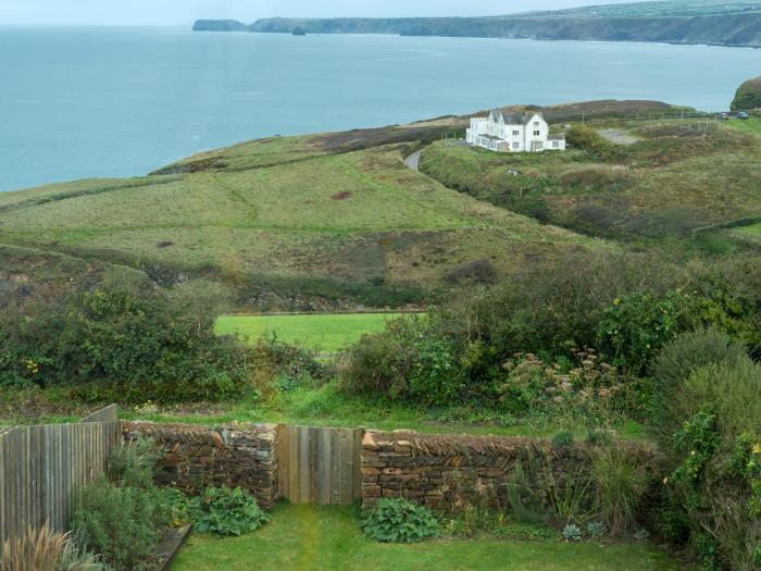 Oyster Bay, Port Isaac