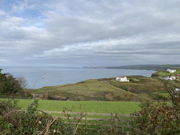 Oyster Bay, Port Isaac