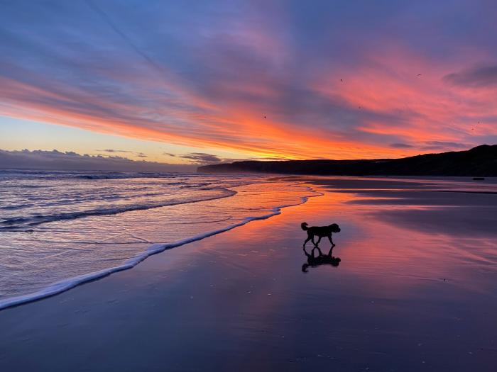 AceGrace Place, The Bay - Filey