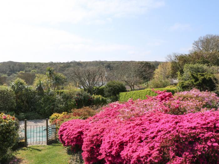 Windy Heath, Salcombe